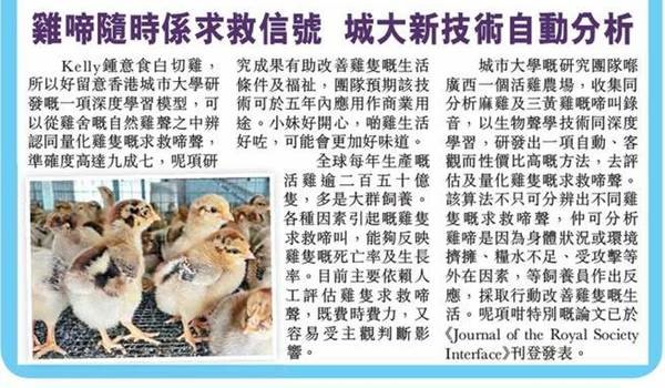 20220712-Headline-雞啼隨時係求救信號 城大新技術自動分析
